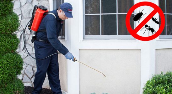 Düzköy Tahtakurusu İlaçlama böcek ilaçlama ve haşere kontrolü — ilaclama-tr.com